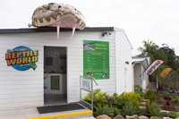 Steve McEwan's Reptile World - Accommodation Gold Coast