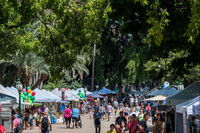 The Riverside at the Botanic Gardens - Attractions Brisbane