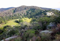 The Bellbird - Accommodation Tasmania