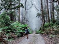 The Corn Trail Walking Track - Tourism Canberra