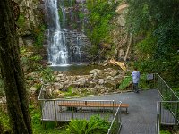 The Falls Walk Budderoo National Park - Redcliffe Tourism