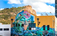 Townsville Street Art - Gold Coast Attractions