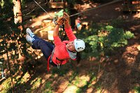 Trees Adventure - Glen Harrow Park - Tourism Bookings WA