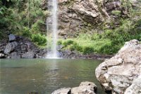 Twin Falls Circuit Springbrook National Park - Accommodation Cooktown