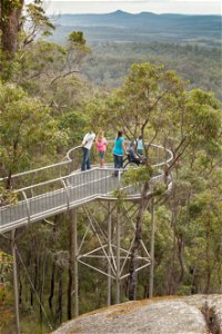 Walpole Wilderness Discovery Centre - Accommodation Port Hedland