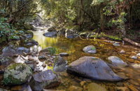 Washpool Walking Track - Accommodation Tasmania