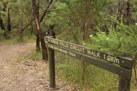 Waterfall Gully - Kings Falls Circuit Walk - Accommodation Noosa