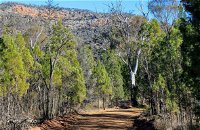 Weddin Gap to Black Spring Loop Trail - Geraldton Accommodation