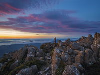 Wellington Park - Accommodation Mt Buller