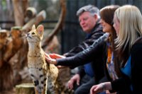 Werribee Open Range Zoo - Accommodation Redcliffe