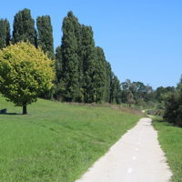 Wollondilly River Walkway - QLD Tourism