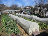Wynlen House Tour a Unique Urban Regenerative Farm and Market Garden - Tourism Bookings WA
