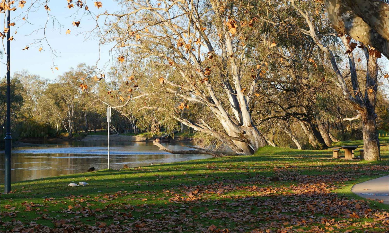 Splitters Creek NSW Tourism TAS