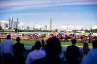 Aquis Park - Home of the Gold Coast Turf Club and Event Centre - Lennox Head Accommodation