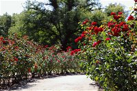 Benalla Botanical Gardens - Accommodation Ballina