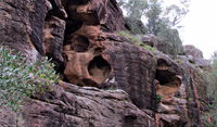 Bertha's Gully Walking Track - Accommodation Yamba