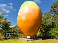 Big Mango - Accommodation Daintree