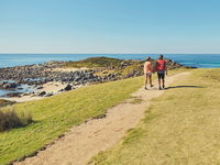 Bingi Dreaming Track - Accommodation Tasmania