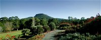 Botanic Garden Wollongong - Accommodation Newcastle