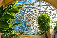 Brisbane Botanic Gardens Mount Coot-tha - Accommodation Mooloolaba