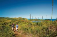 Bushwalking on Keswick Island - ACT Tourism
