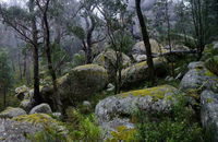 Cathedral Rock Track - ACT Tourism