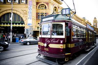 City Circle Tram - Accommodation Noosa