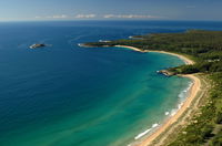 Cookies Beach Picnic Area - South Durras - Attractions