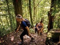 Devils Thumb Manjal Jimalji Trail - Accommodation QLD