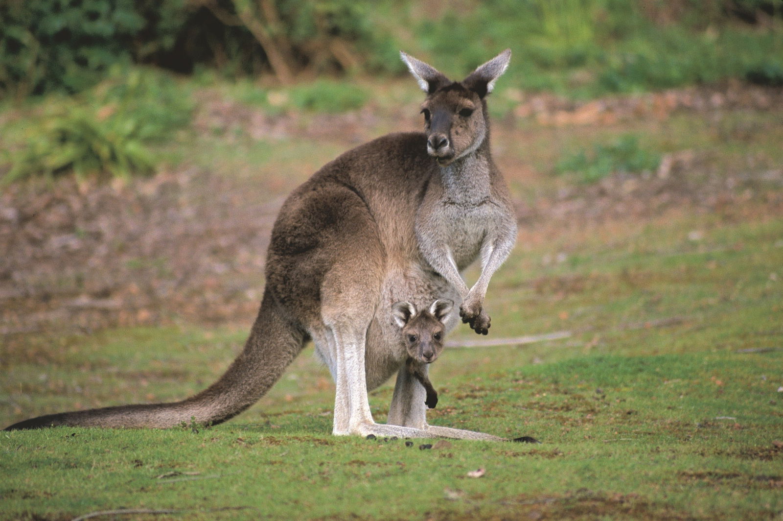 Donnelly River WA Accommodation in Brisbane