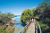 Eli Creek - Gold Coast Attractions