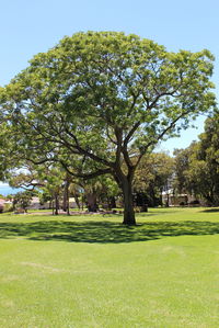 Flinders Park Playground - Bundaberg Accommodation