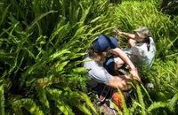 Georges Head - Mackay Tourism