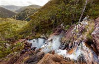 Gibraltar Range National Park - Accommodation Tasmania