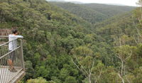 Granite Falls walking track - Northern Rivers Accommodation