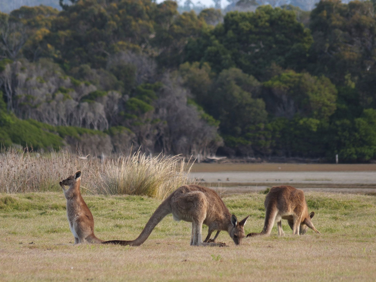 Bakers Beach TAS Accommodation ACT