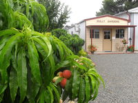 Gully Gardens - Accommodation Tasmania