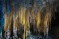 Hastings Caves and Thermal Springs - Gold Coast Attractions