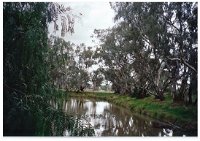 Henty Government Dam Nature Reserve - Accommodation Search