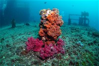 HMAS Brisbane Dive Site - Gold Coast Attractions