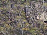 Horsnell Gully and Giles Conservation Parks - Accommodation Bookings