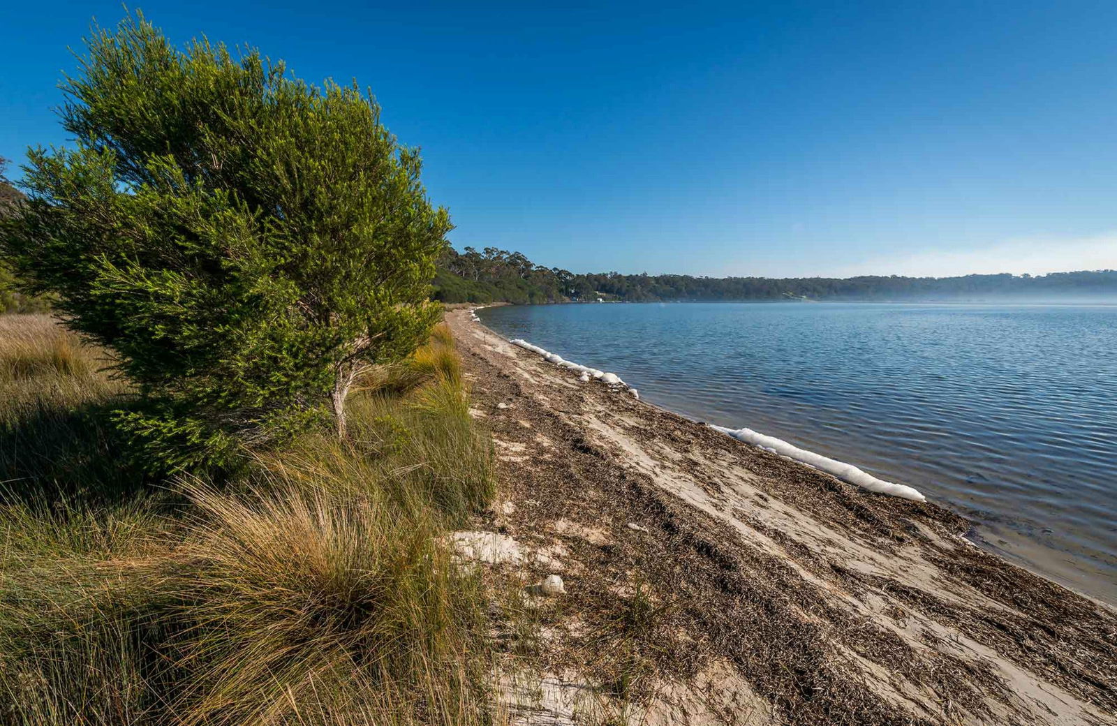 Wonboyn NSW Accommodation Main Beach