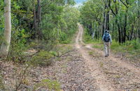 Kangaroo River Walking Track - Maitland Accommodation