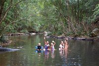 Kerewong State Forest - C Tourism
