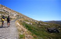 Kosciuszko Walk - Thredbo to Mount Kosciuszko - Attractions