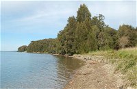 Lake Macquarie State Conservation Area - Accommodation Newcastle