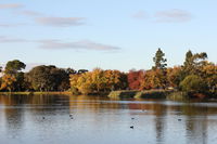 Lake Weeroona - Attractions Perth