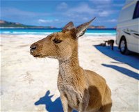 Lucky Bay - Accommodation ACT