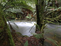 Marriotts Falls and Junee Caves - Accommodation Gold Coast