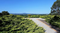 Mt Lindsay Rotary Park - Maitland Accommodation